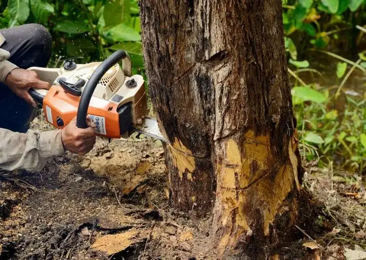 Pilarka Stihl czy Husqvarna: Która lepsza dla Twoich potrzeb?