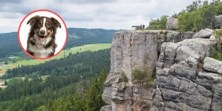 Góry Stołowe z psem? Sprawdź, gdzie możesz i czego unikać!