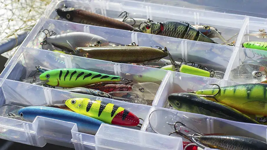 Rodzaj przynęty wędkarskiej: Jak wybrać najlepszą dla siebie?