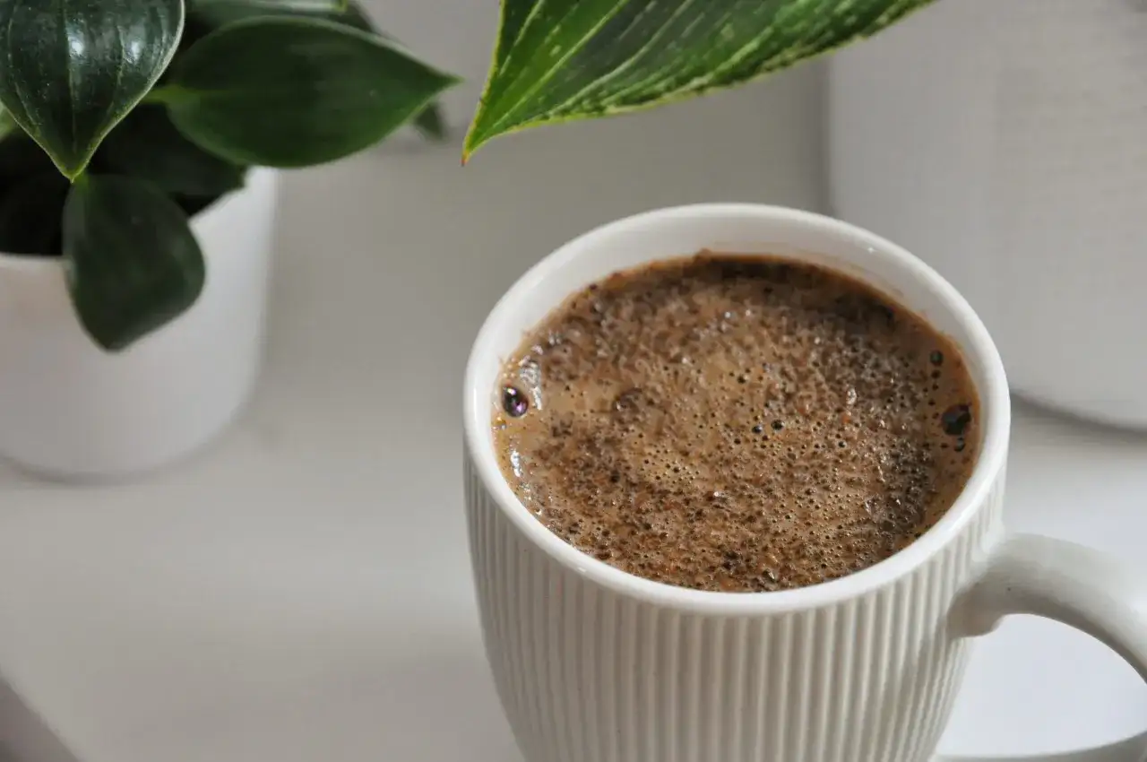 Jak zaparzyć kawę sypaną bez fusów? Sekret idealnej "plujki"