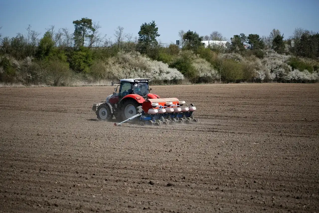 Czerwony traktor z siewnikiem precyzyjnym na polu. Rolnik dba o to, jak głęboko siać rzepak, by zapewnić mu optymalne warunki do wzrostu.