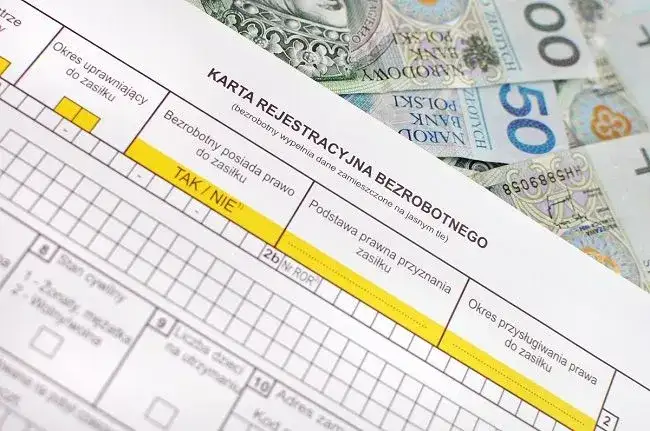 Zasiłek dla bezrobotnych po studiach - sprawdź, czy się kwalifikujesz