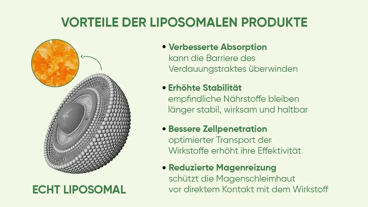 Liposomales Vitamin C: Höhere Bioverfügbarkeit für Ihre Gesundheit