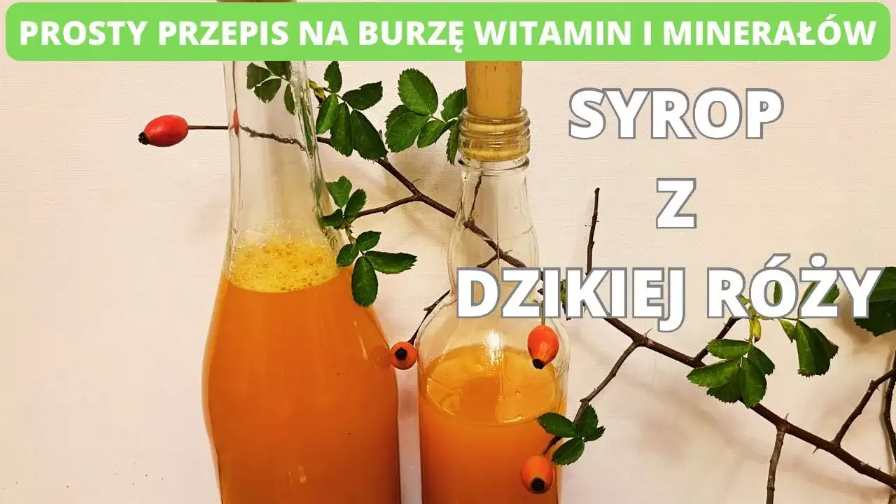 Jak zrobić sok z dzikiej róży? Pełny poradnik na zimową odporność.