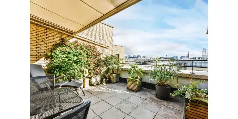 Jakie rośliny do dużych donic na taras? Stwórz piękne aranżacje