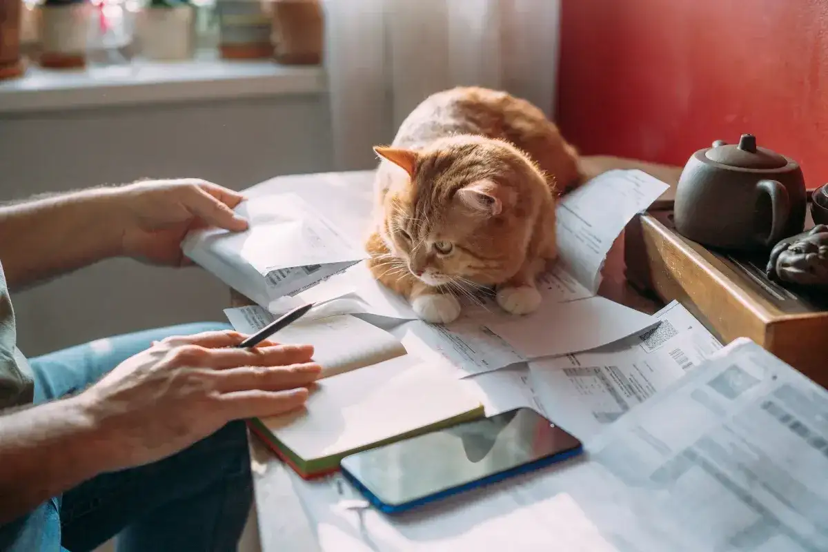 Kto płaci podatek od nieruchomości przy dzierżawie? Ekspert wyjaśnia!