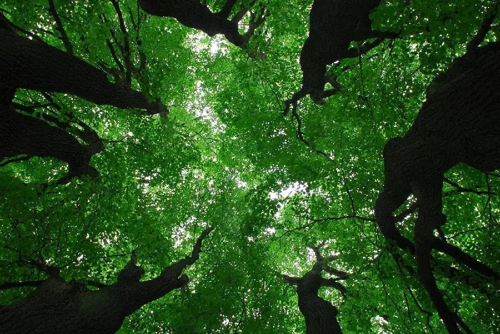 Rezerwaty przyrody w Warszawie – odkryj ich niezwykłe bogactwo