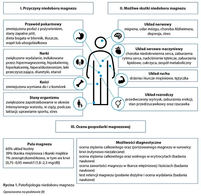Magnez na nerwicę: Ile, jaki i jak uspokoić nerwy? Poradnik