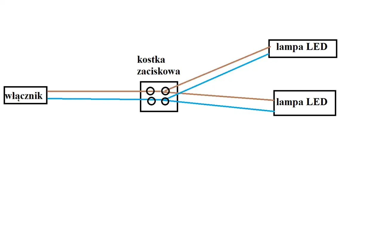 Schemat pokazuje, jak podłączyć dwie lampy LED do jednego kabla za pomocą kostki zaciskowej i włącznika.