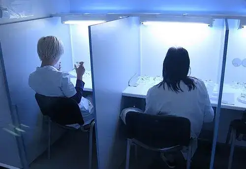 Metoda sensoryczna w ocenie jakości produktów spożywczych - klucz do sukcesu