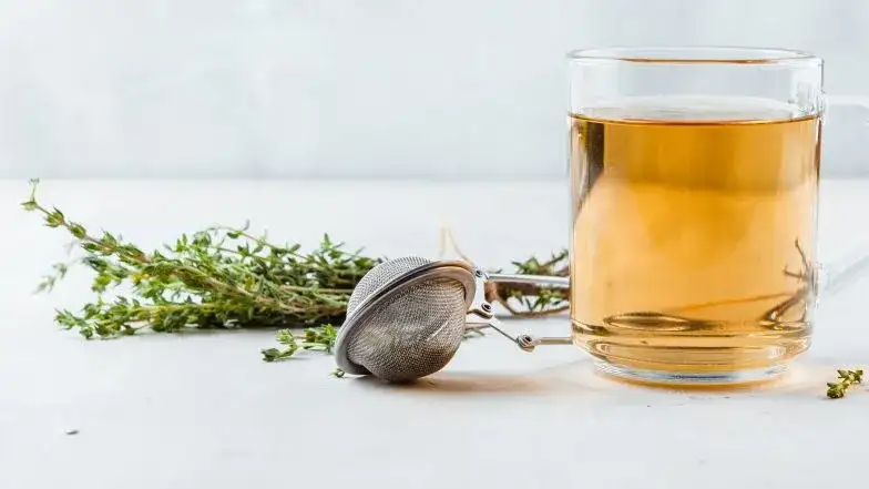 Co podać kotu na biegunkę: metody leczenia w warunkach domowych