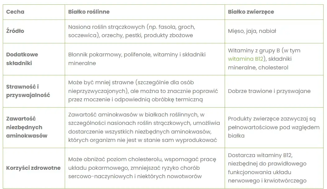 Białko roślinne: Czy jest pełnowartościowe? Obalamy mity!