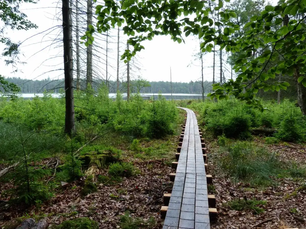 Rezerwat przyrody Kurze Grzędy – tajemnice bioróżnorodności i ekoturystyki