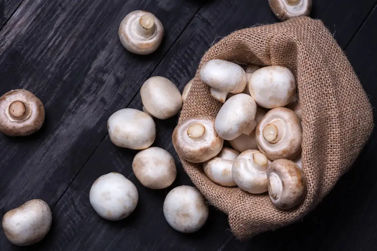 Czy pieczarki są zdrowe? Poznaj ich niezwykłe właściwości zdrowotne