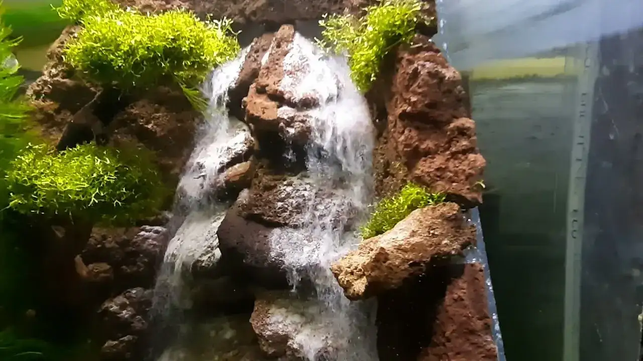 Jak zrobić wodospad w akwarium - prosty poradnik dla początkujących