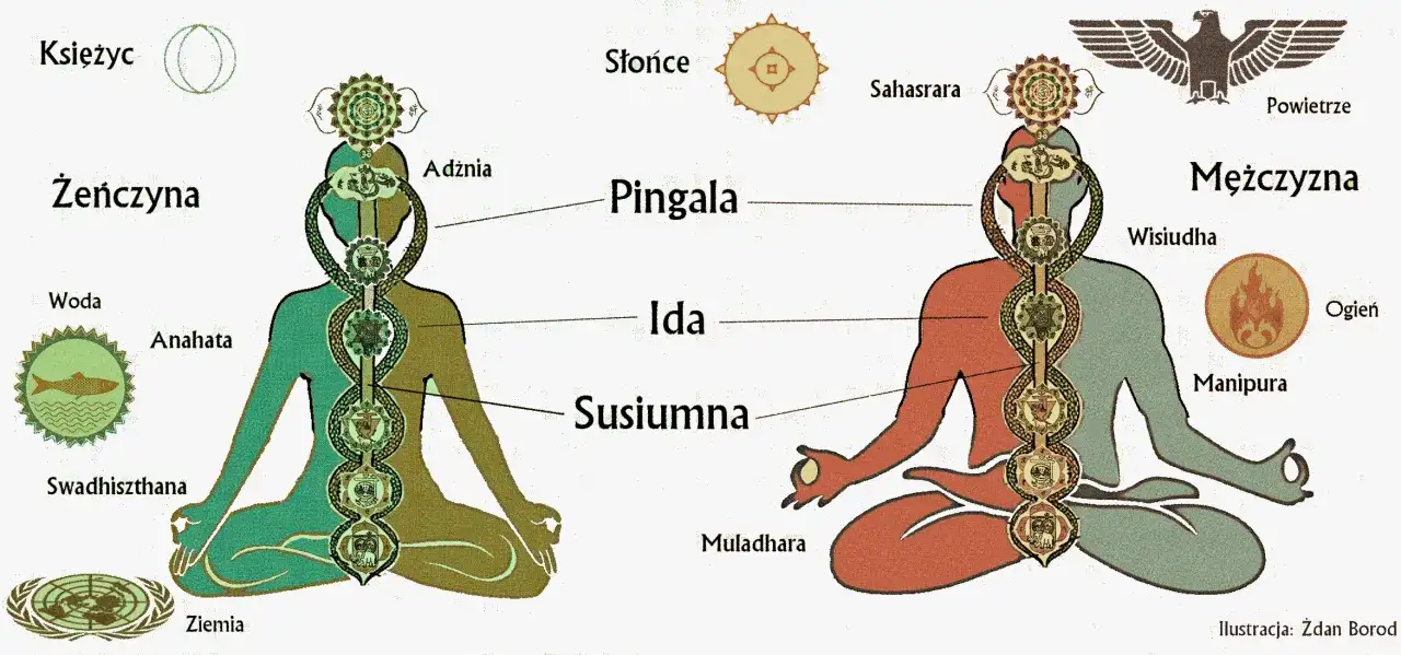 Poza 7 czakr: Kundalini i mistrzostwo energii dla zaawansowanych