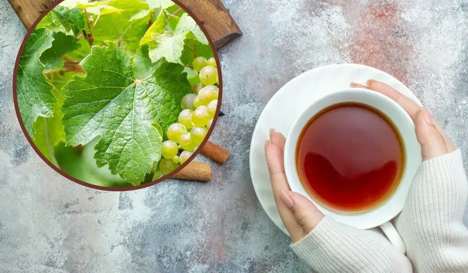Gdzie kupić herbatę z liści winogron - najlepsze sklepy i sprawdzone źródła