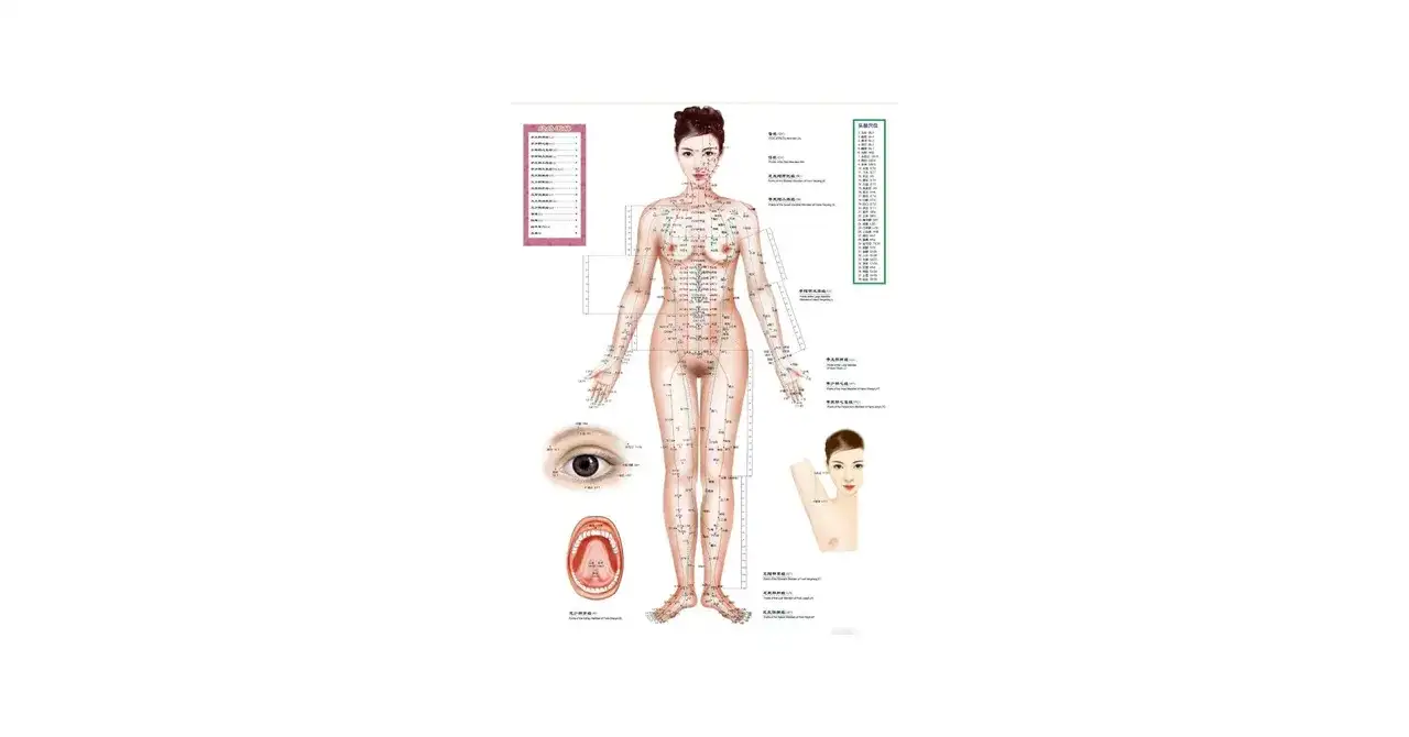 Punkty akupunkturowe: Twoja mapa do zdrowia i równowagi