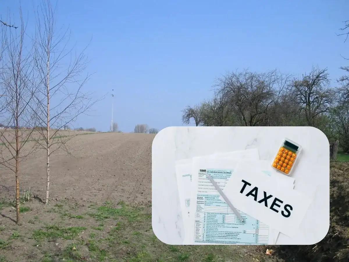 Pole i młode drzewka. Na pierwszym planie dokumenty podatkowe i kalkulator, sugerujące podatek od zakupu działki rolnej.