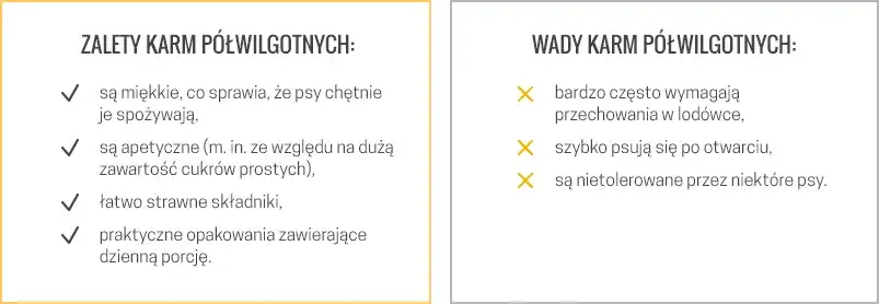 Sucha czy mokra karma dla psa? Porównanie, wady i zalety.