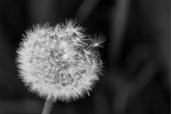 Jak wybrać idealny prezent dla osoby w żałobie, by pocieszyć?