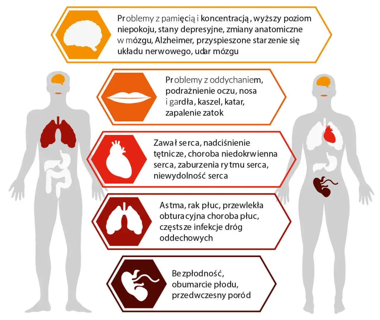 Co to znaczy smog i jak wpływa na zdrowie oraz środowisko