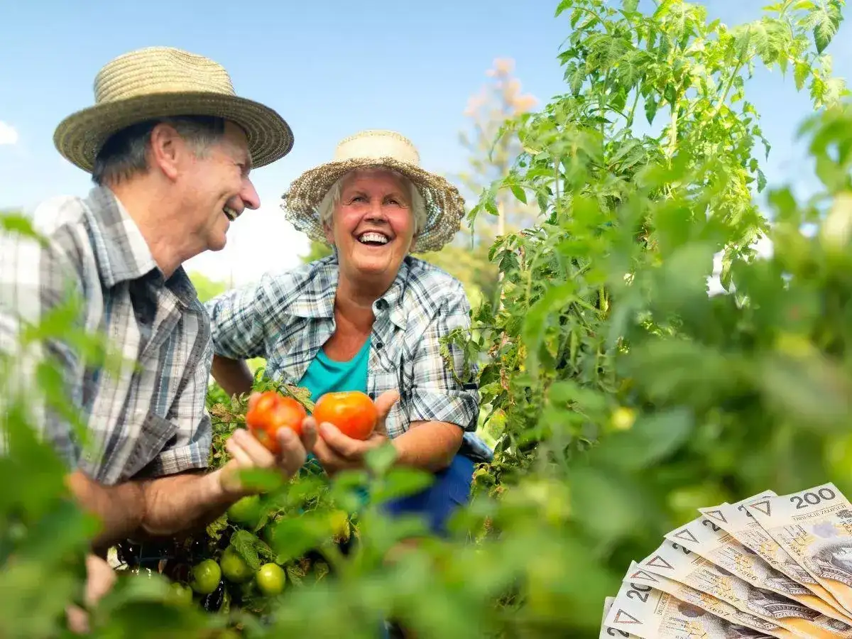 Ile można zarobić na rencie rodzinnej bez obaw o jej zmniejszenie
