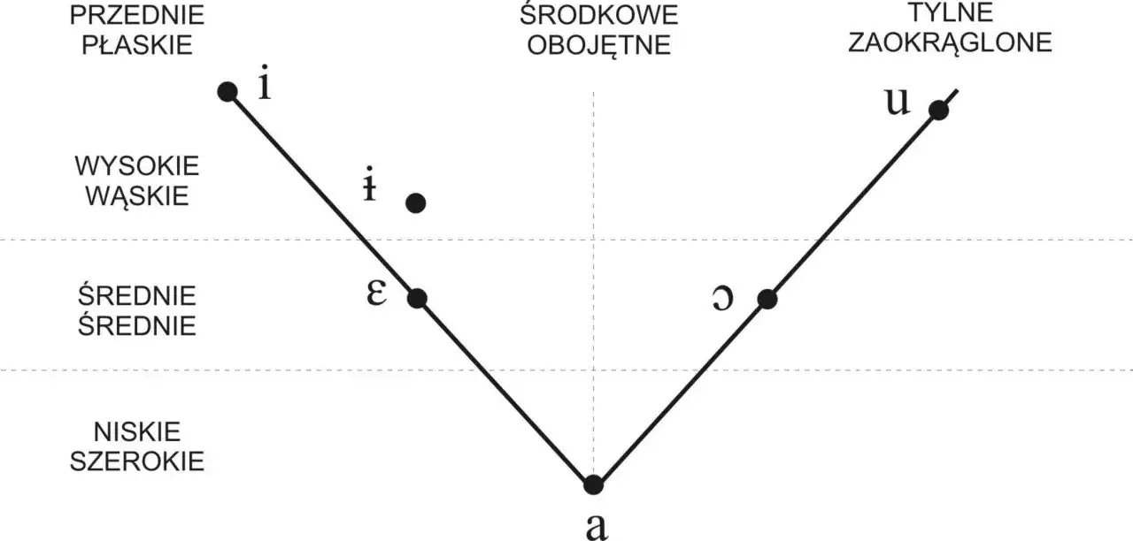 Wykres samogłosek: przednie płaskie (i, ε), środkowe obojętne (•, ǝ), tylne zaokrąglone (u, ɔ). Niskie szerokie to 'a'.