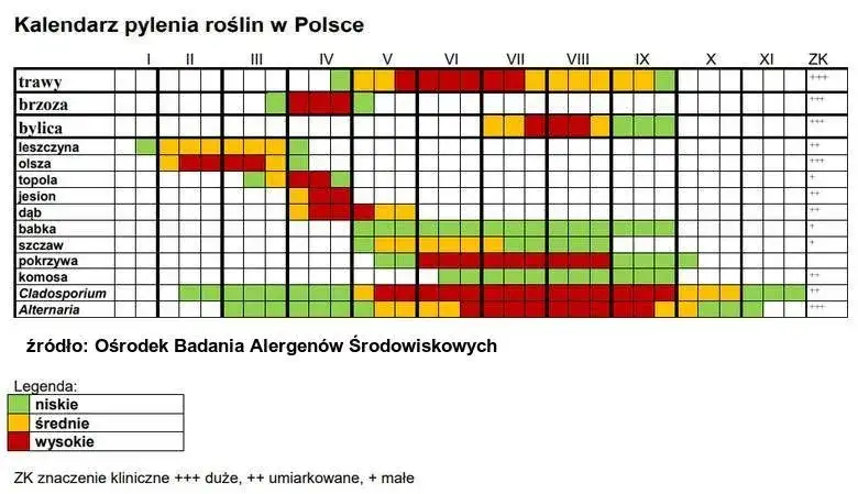 Co kwitnie w czerwcu alergia? Poznaj rośliny, które uczulają