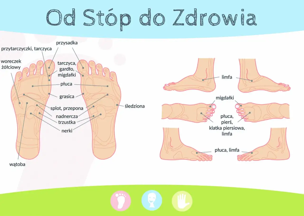 Schemat stóp z zaznaczonymi punktami odpowiedzialnymi za narządy: wątroba, nerki, nadnercza, płuca, migdałki, tarczyca.