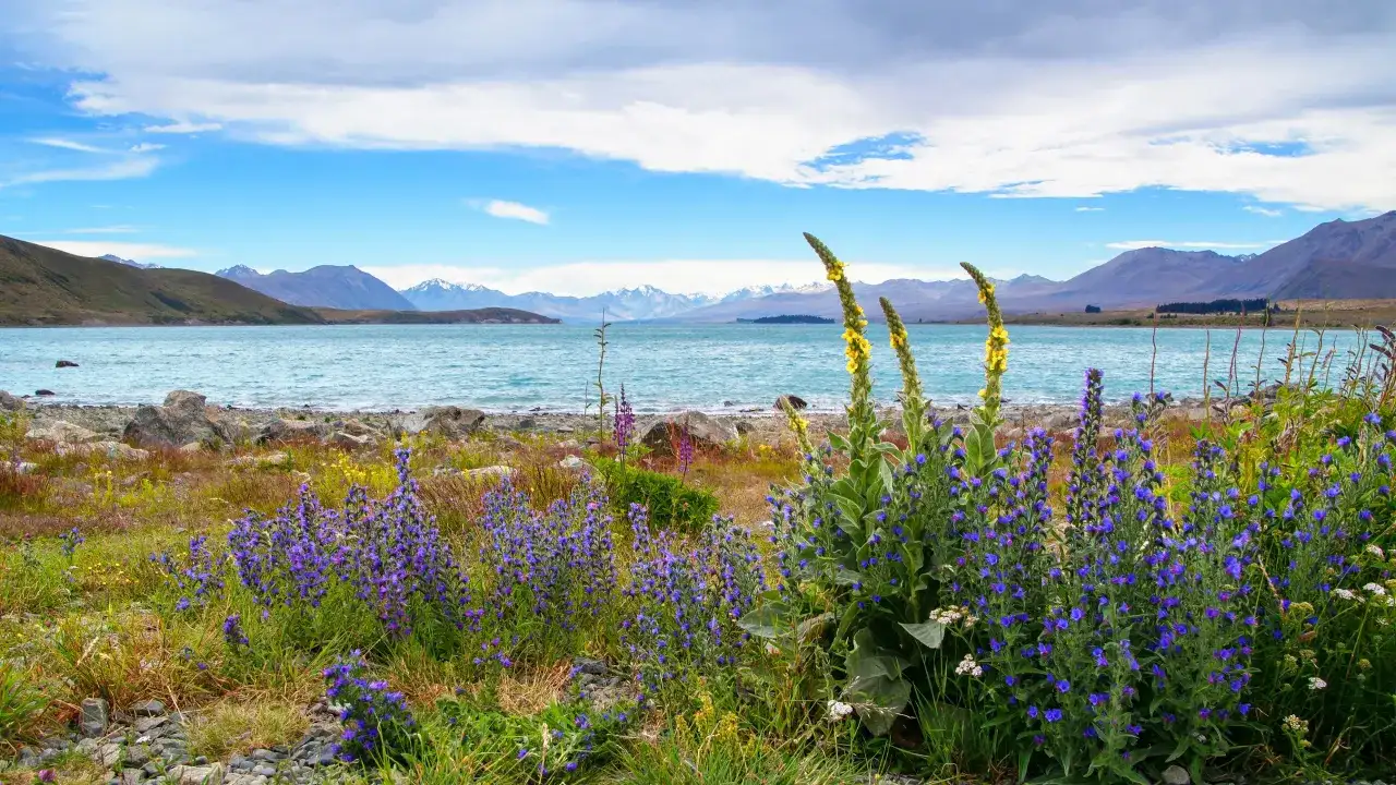 Najczystsze jezioro na świecie: niezwykła przejrzystość i zagrożenia