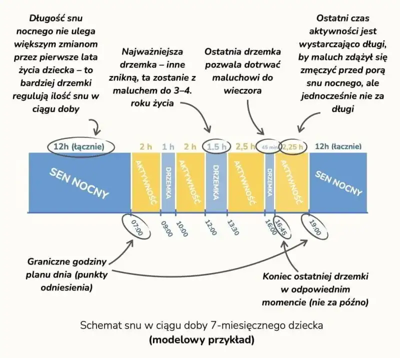 Idealny plan dnia 7 miesięcznego dziecka: kompletny schemat dla rodziców