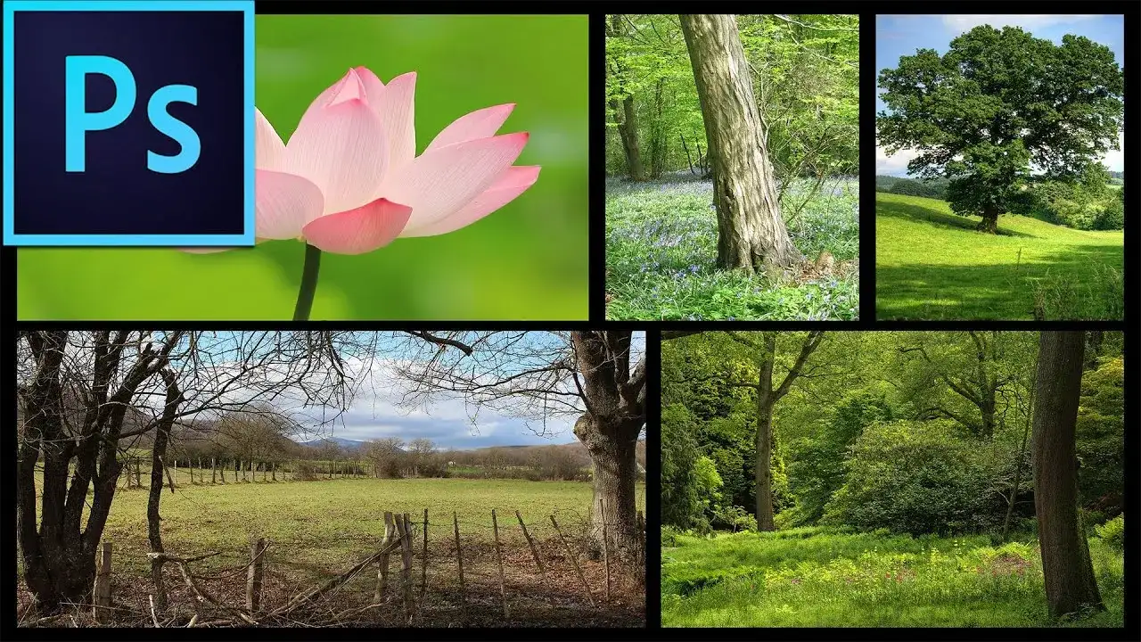 Jak zrobić kolaż w Photoshopie - proste kroki, które zaskoczą każdego