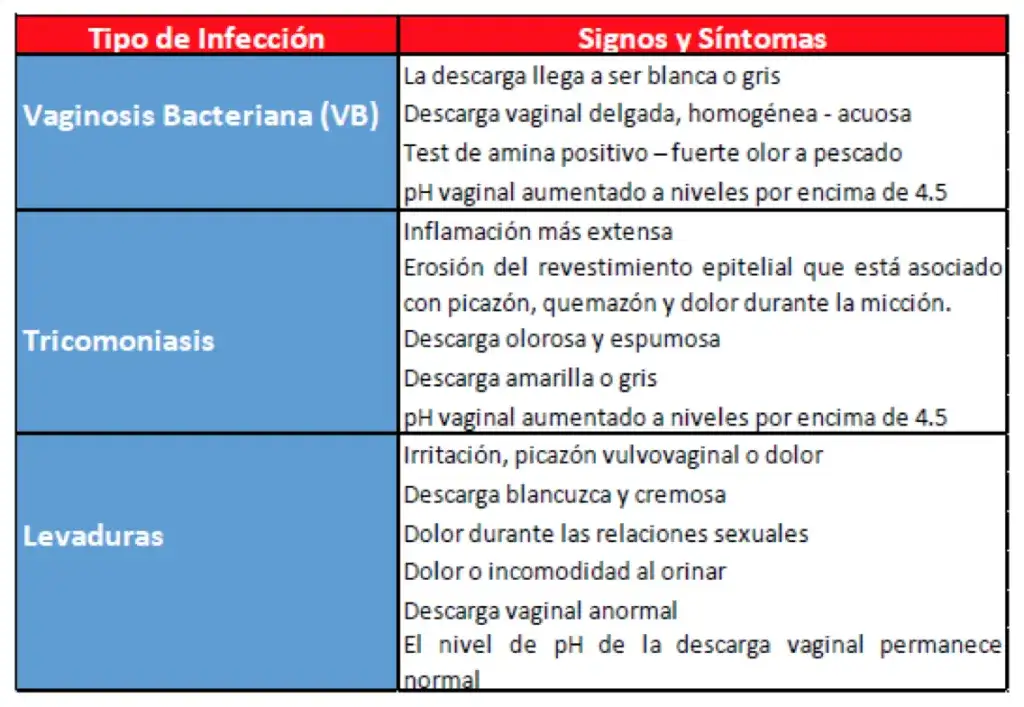 Síntomas de vaginosis bacteriana: identifica los signos y evita complicaciones