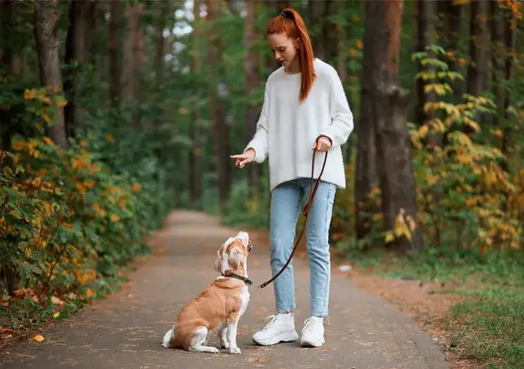 Jak skutecznie nauczyć szczeniaka sikać na dworze – praktyczne porady i metody
