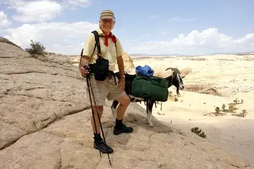 Capre di montagna: razze, formaggi e goat trekking in Italia