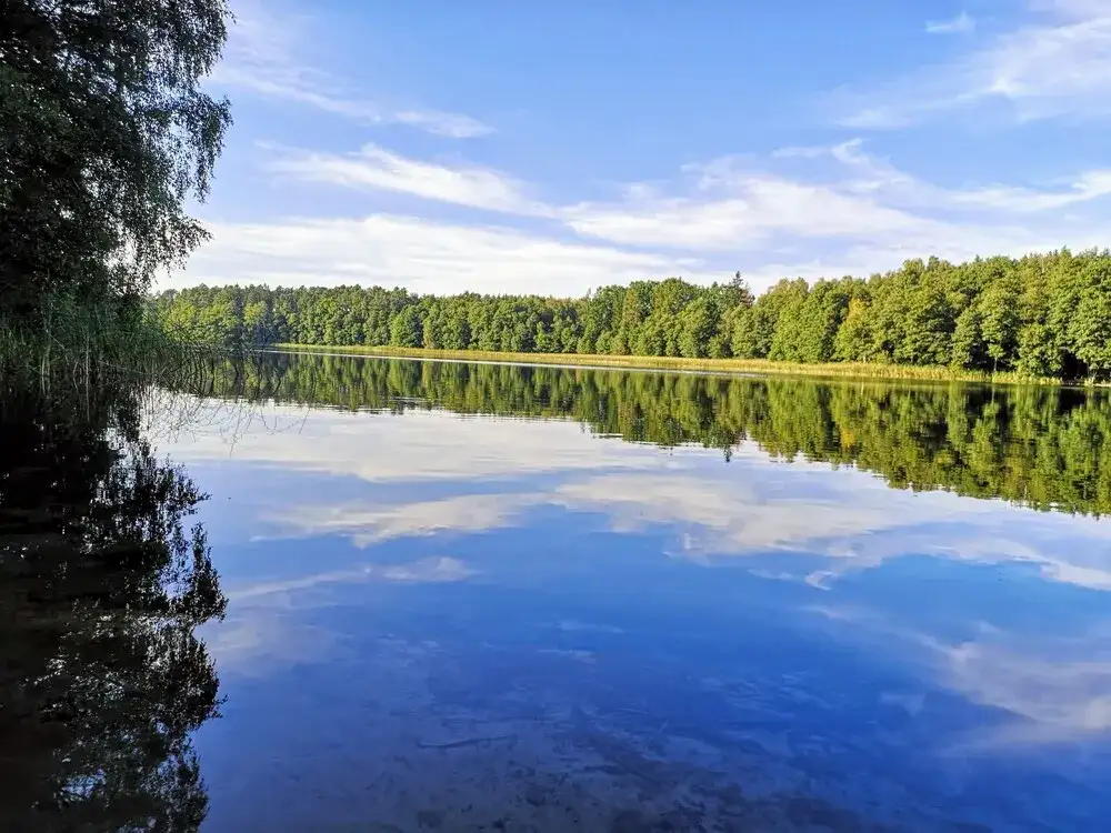 Jezioro Głuche Bory Tucholskie – tajemnice przyrody i relaksu