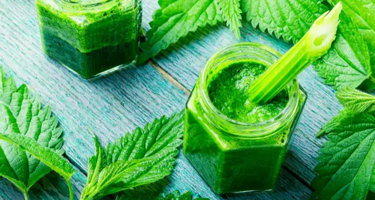 Jak pić sok z pokrzywy? Smaczne połączenia i moc witaminy C
