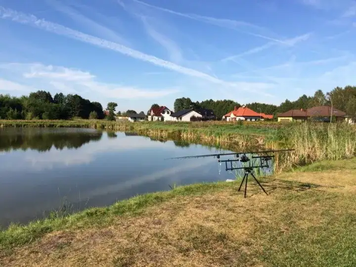 Najlepsze łowiska komercyjne w Toruniu - sprawdź, gdzie łowić ryby