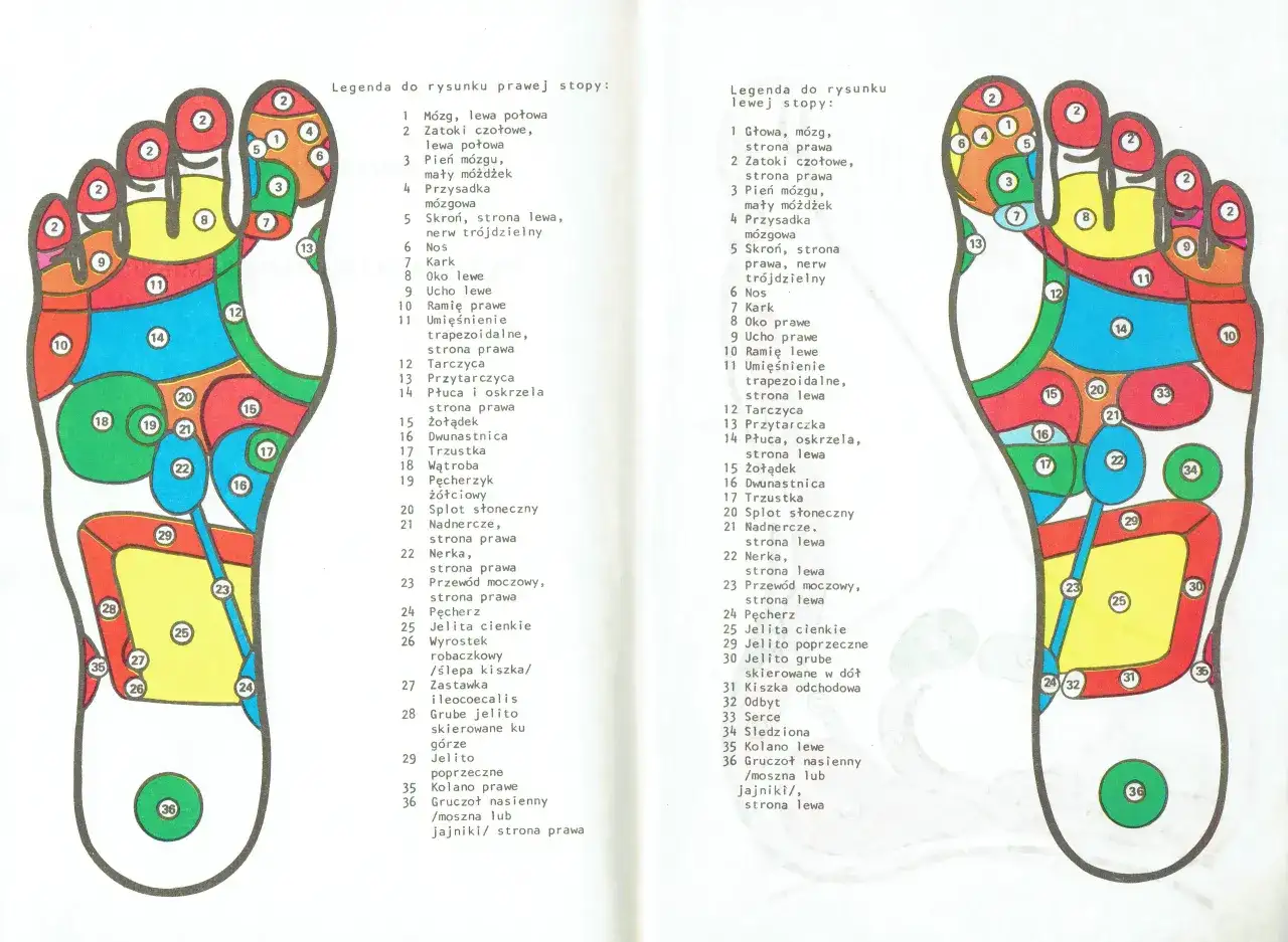 Schemat receptorów na stopach z numerowanymi obszarami i legendą.