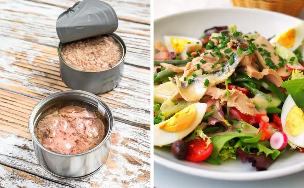 Czy pies może jeść tuńczyka z puszki? Sprawdź, co musisz wiedzieć