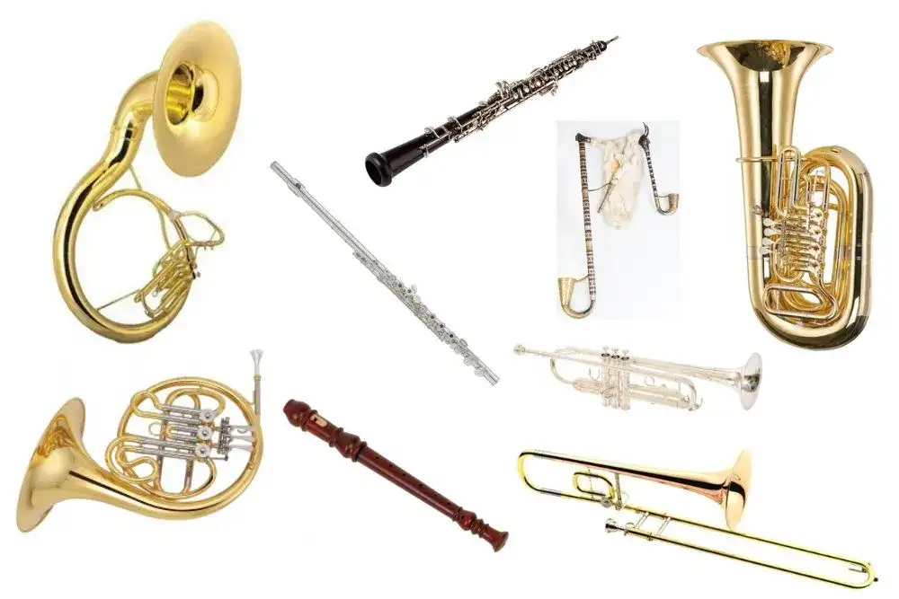 Czy organy są instrumentem dętym? Odkryj ich fascynującą klasyfikację