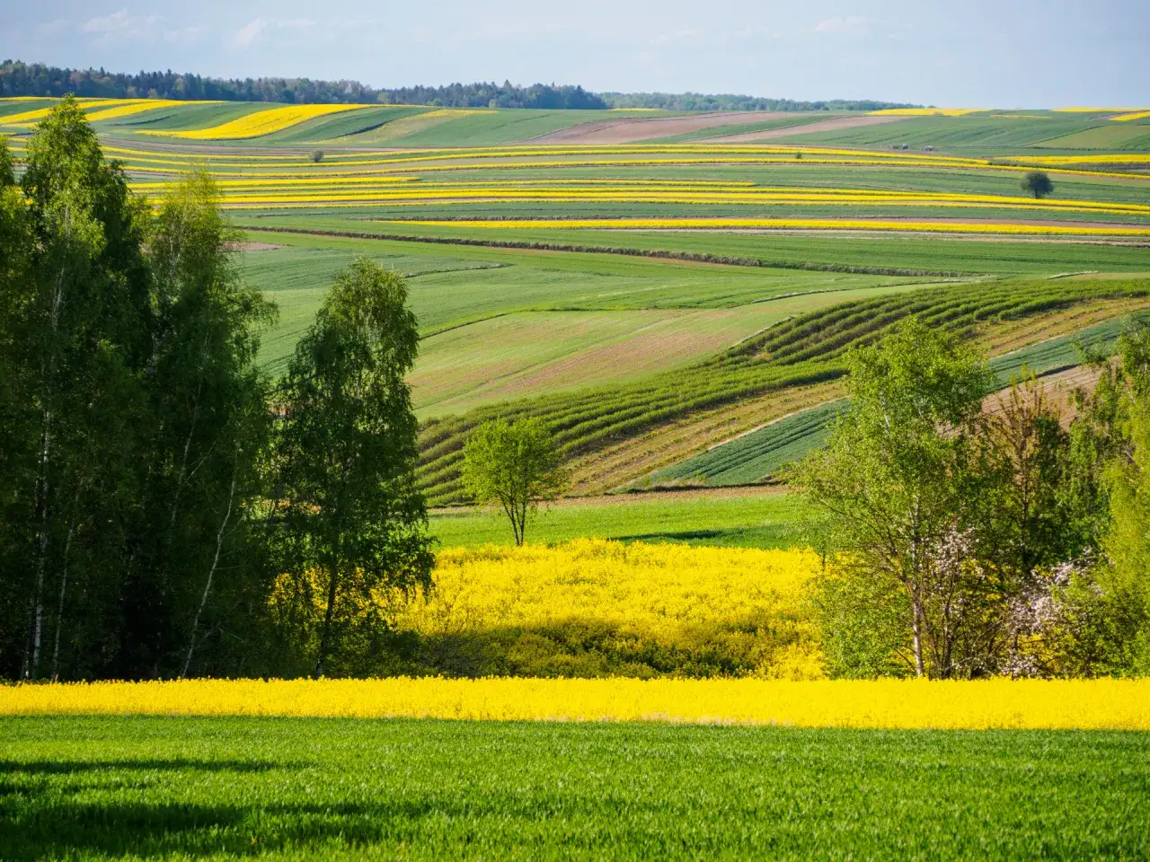 Roztocze: Odkryj najpiękniejsze miejsca i zaplanuj podróż