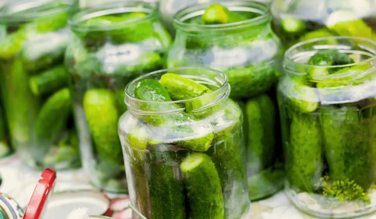 Kiedy kisić ogórki na zimę? Idealny czas na chrupkość!
