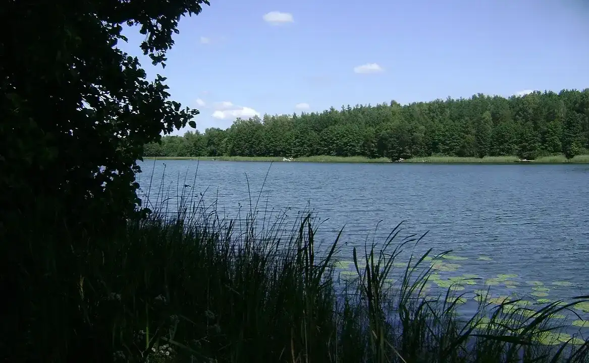 Warchały atrakcje: najlepsze miejsca na wędkowanie i relaks w naturze