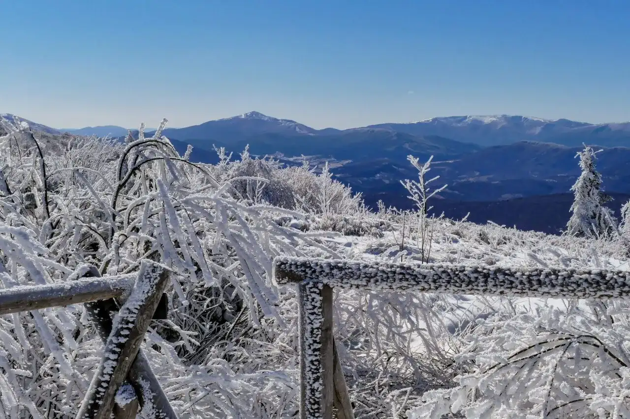 Mroźna **tarnica zimą** w Bieszczadach. Gałęzie pokryte szronem, drewniane ogrodzenie i błękitne niebo.