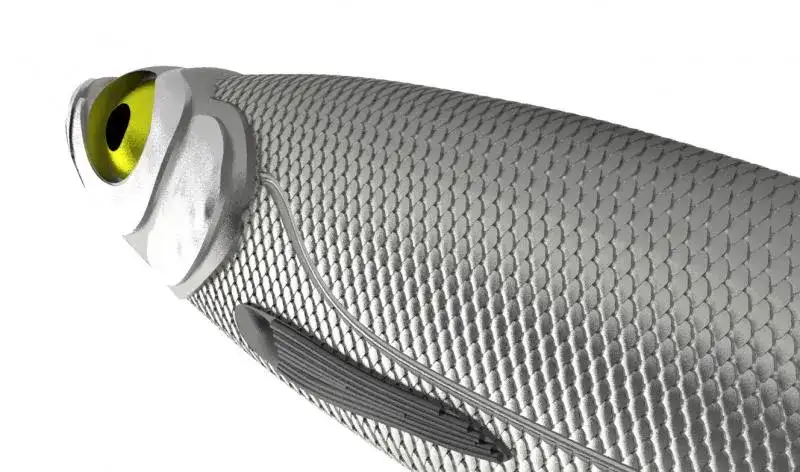 Formy do przynęt wędkarskich: Jak zaoszczędzić na łowieniu ryb