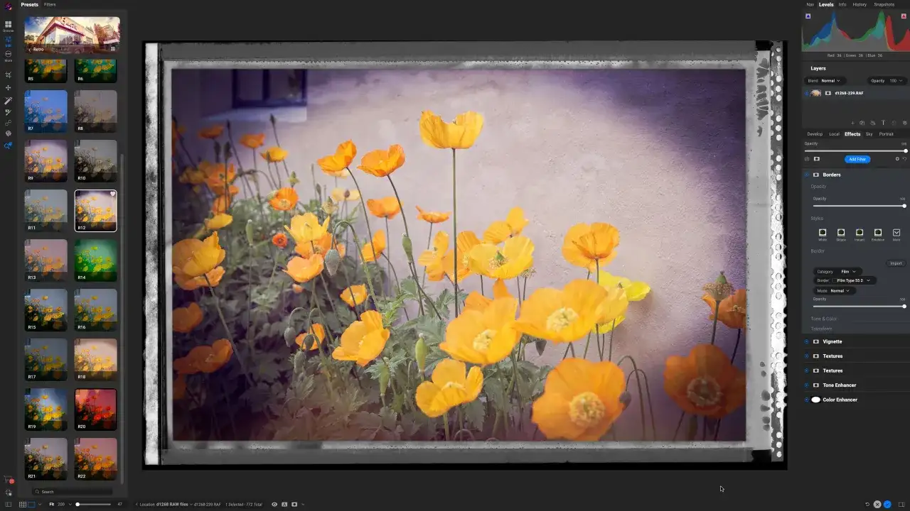 Żółte maki na tle ściany, edytowane w najlepszym edytorze zdjęć z efektem vintage i ramką filmową.