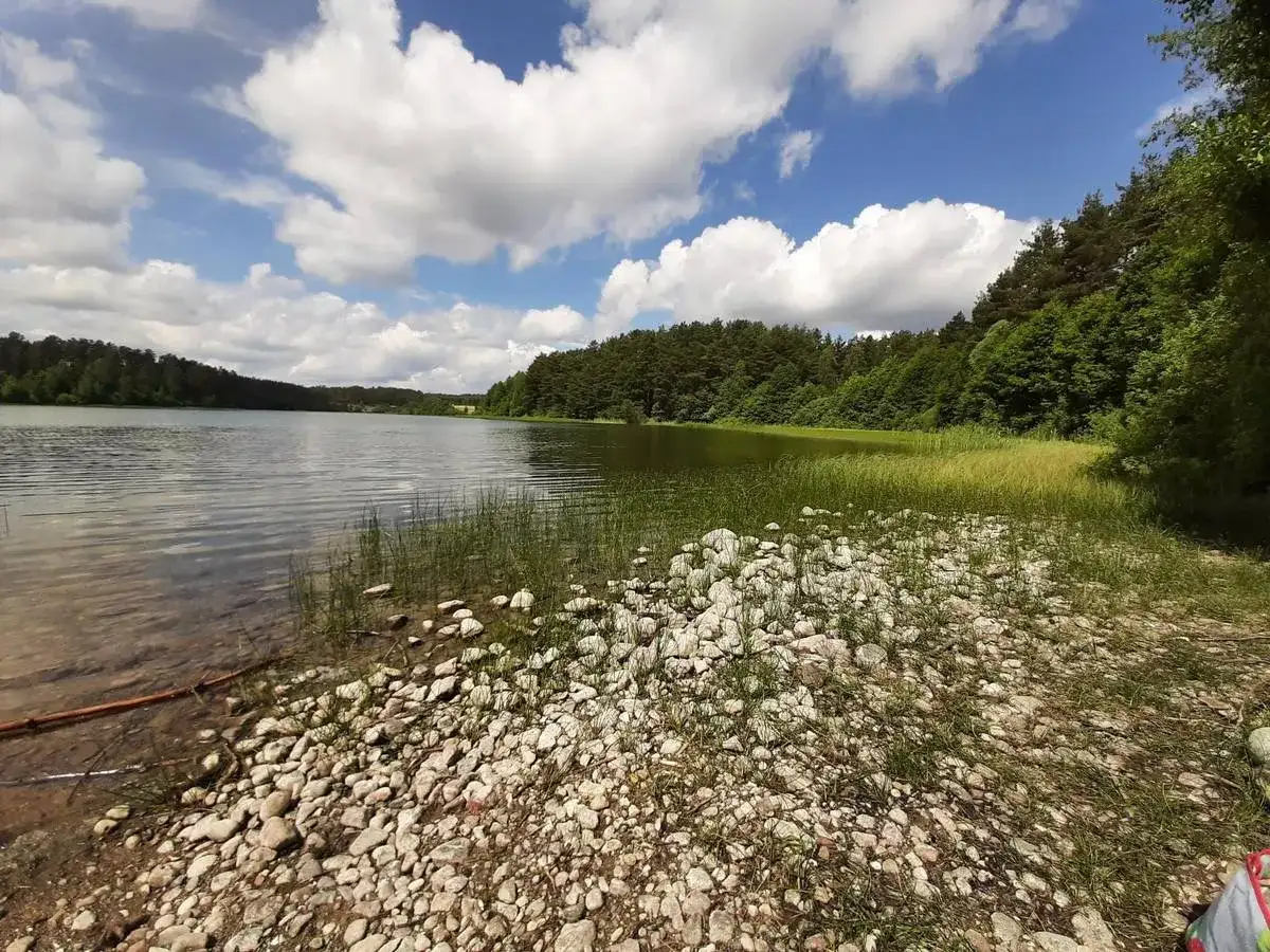 Piękny dzień nad jeziorem, idealne miejsce, by odpocząć i zastanowić się, co robić w Sulęczynie.