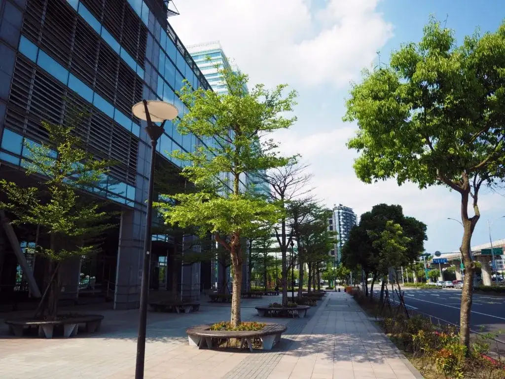 Jakie drzewa sadzić na osiedlach, aby uniknąć problemów z korzeniami?